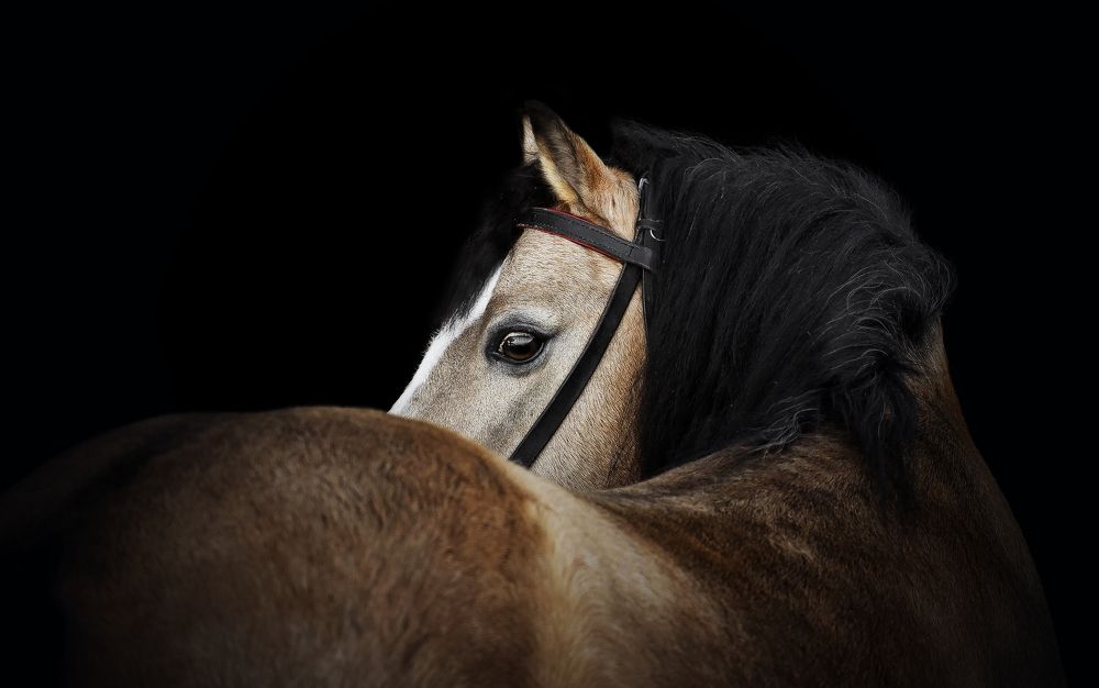 Photograph by Кристина Горковская