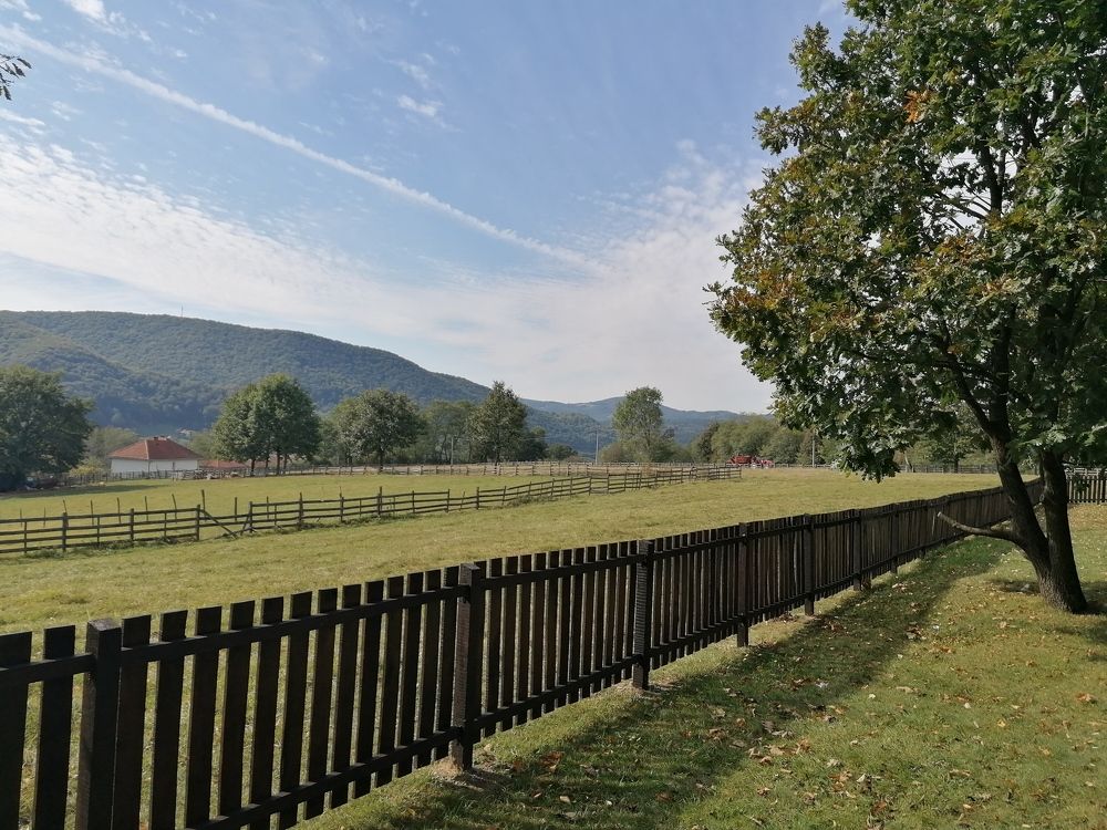 Фотография автора Danica Utjesinovic