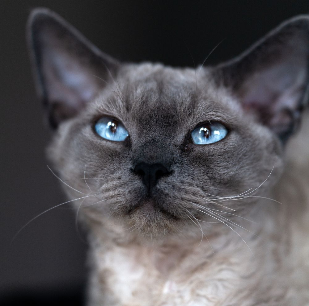 Photograph by Valentina Acrement