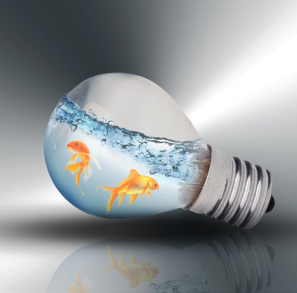 Photograph by Clay Jeferson