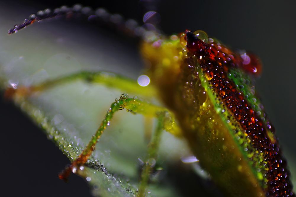 Photograph by Никита Овсянников