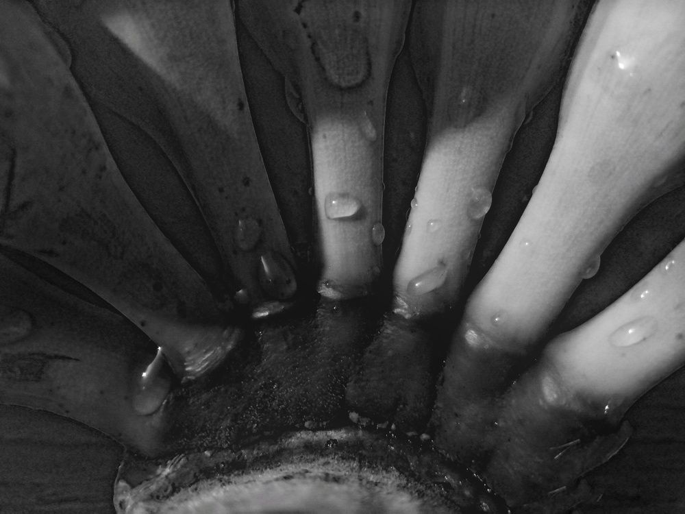 Photograph by Eimy Eldeeb