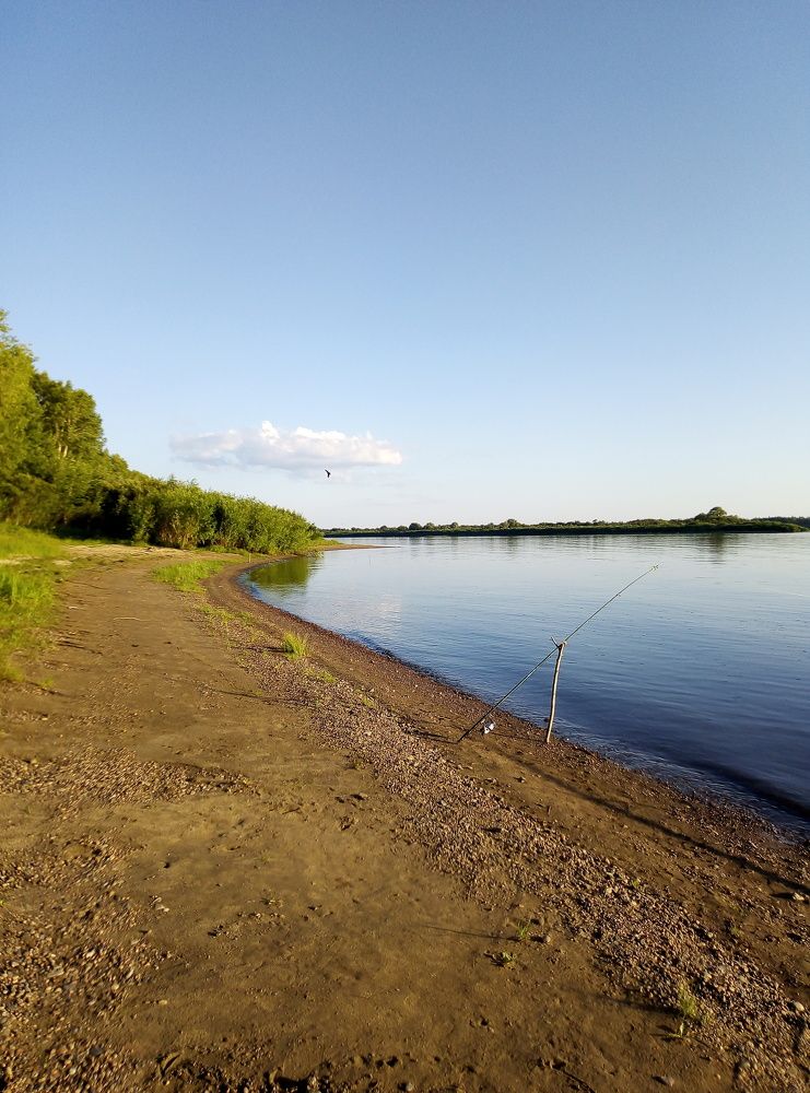 У реки Томи