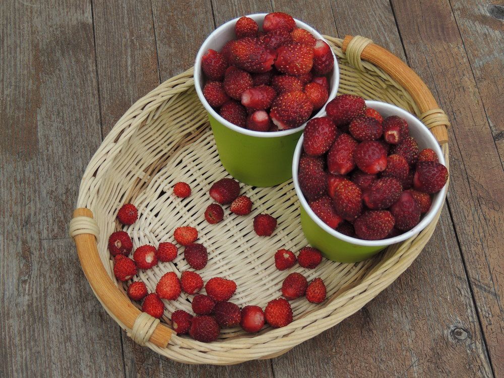 Photograph by  Vladimir