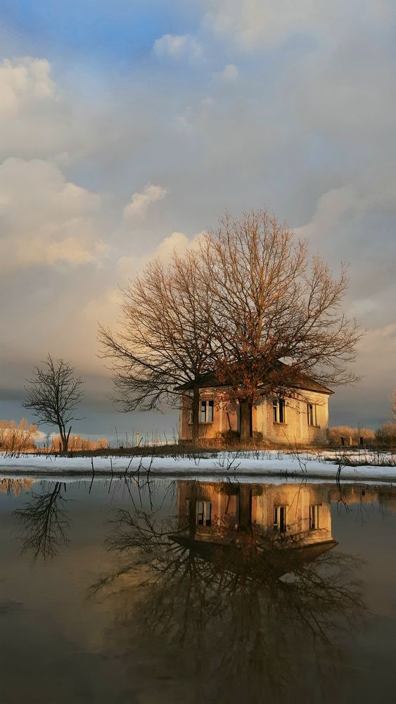 Photograph by Алексей Стариков