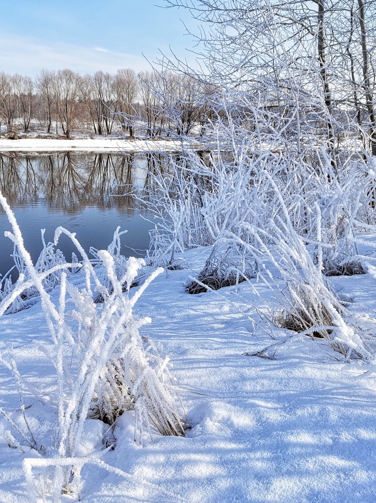 Photograph by Ирина Коновалова