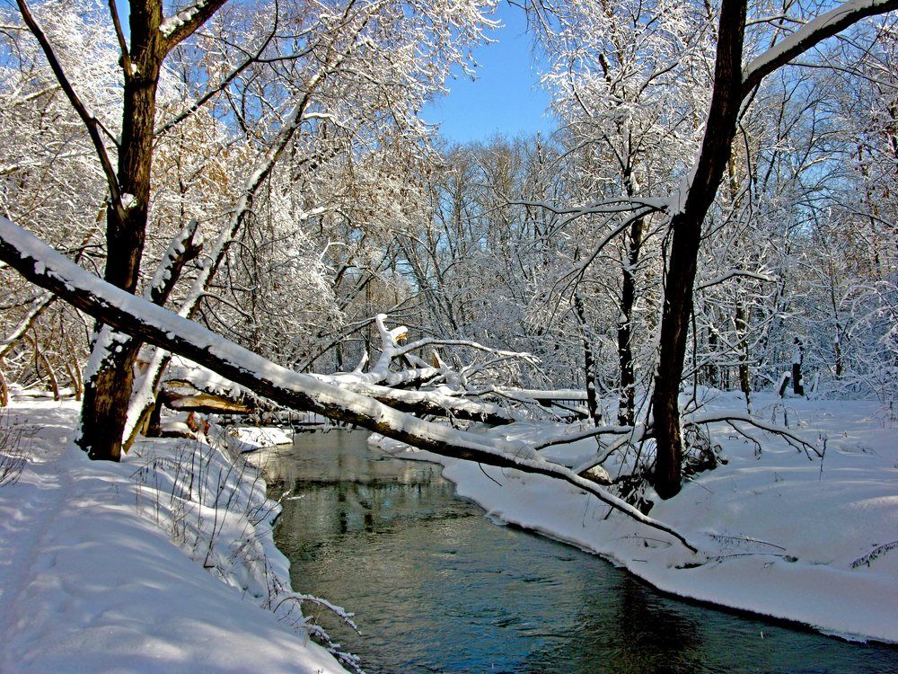 Photograph by Дмитрий Розенбаум