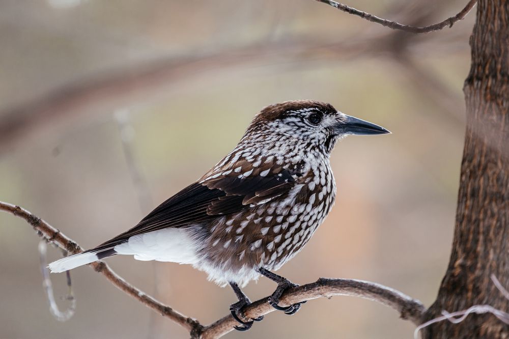 Photograph by Оксана Корчагина