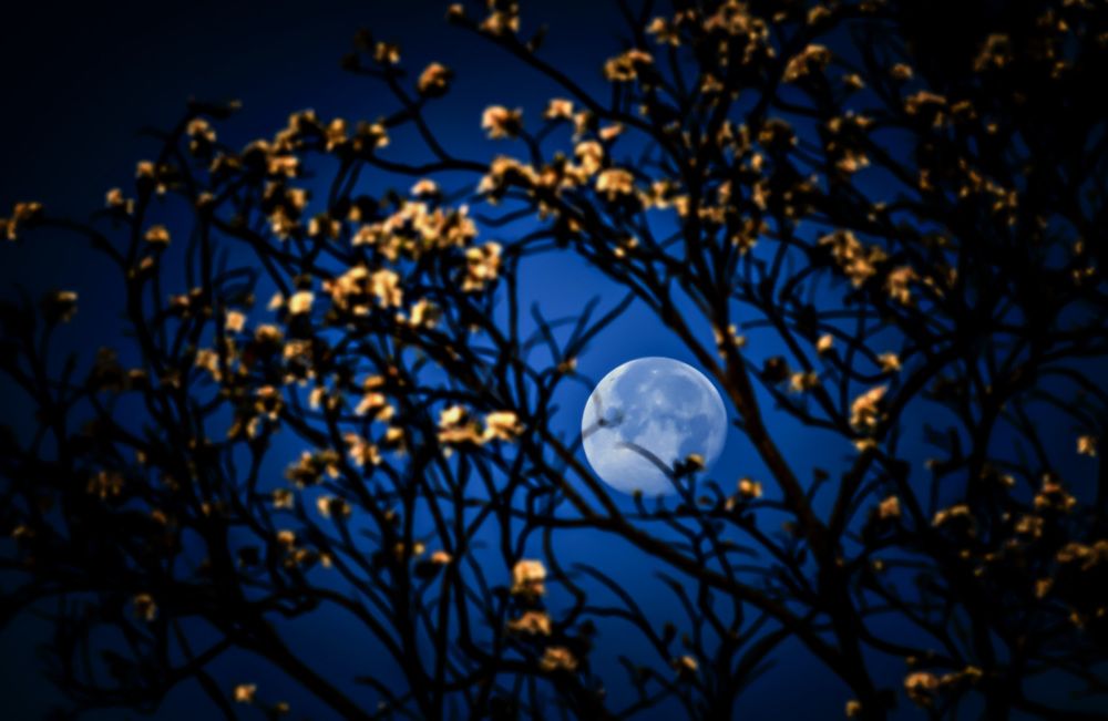 Фотография автора Đang Hong