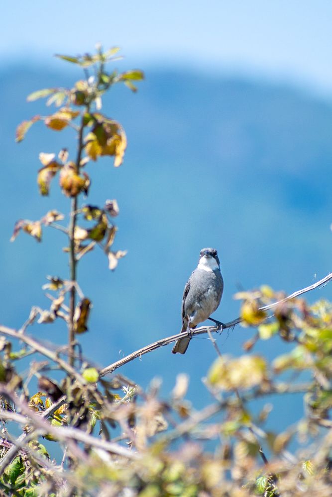 Photograph by David Vivallo