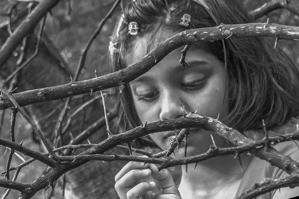 Photograph by Shreeharan Rajasingham