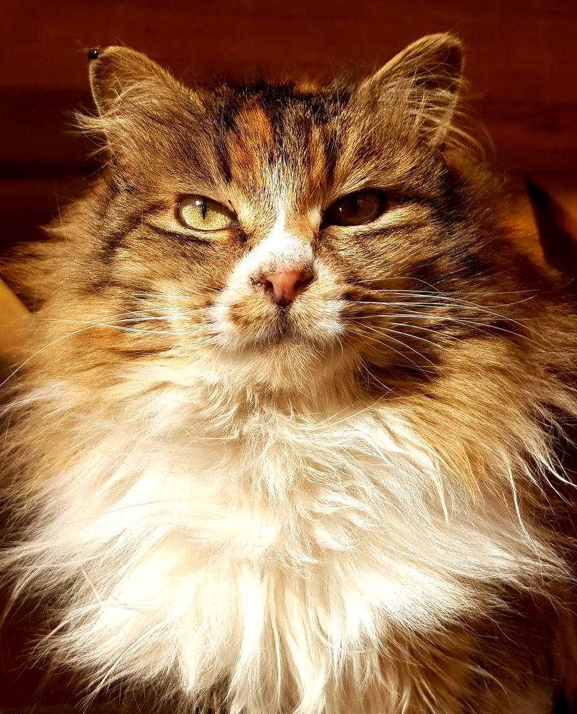 Утренний взгляд.