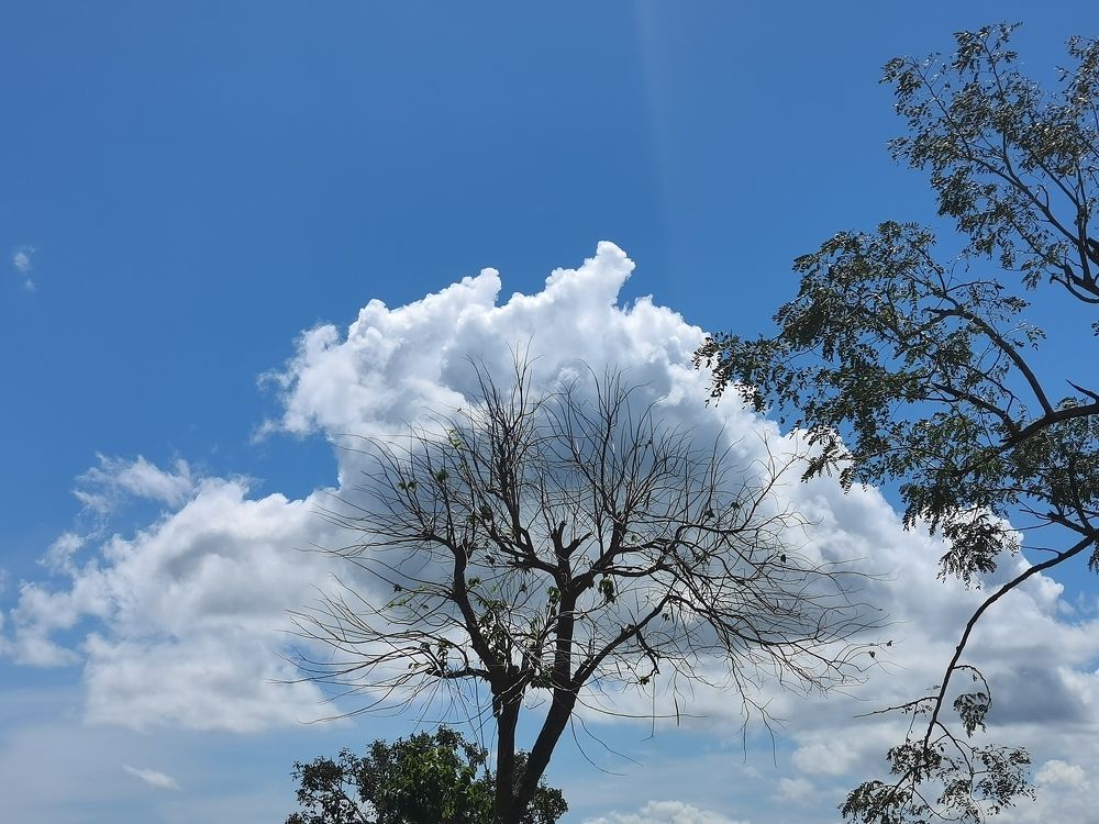 The beauty of Nature