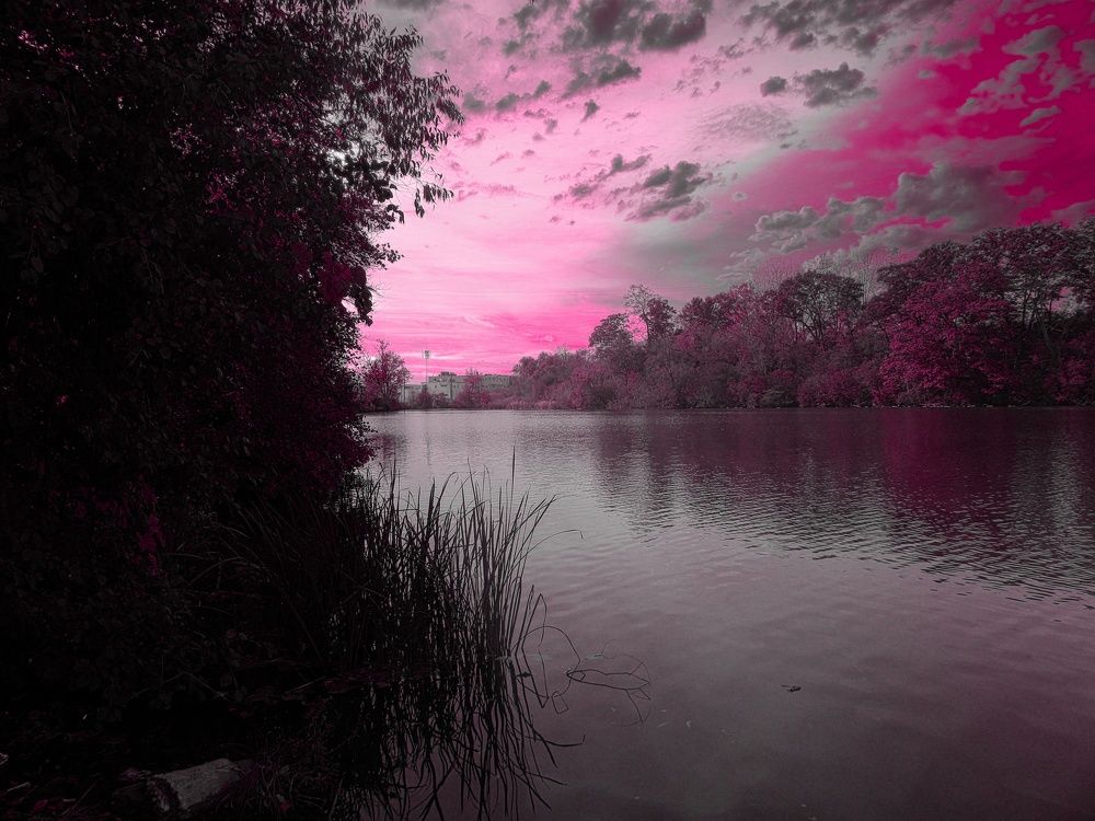 Photo #5943899