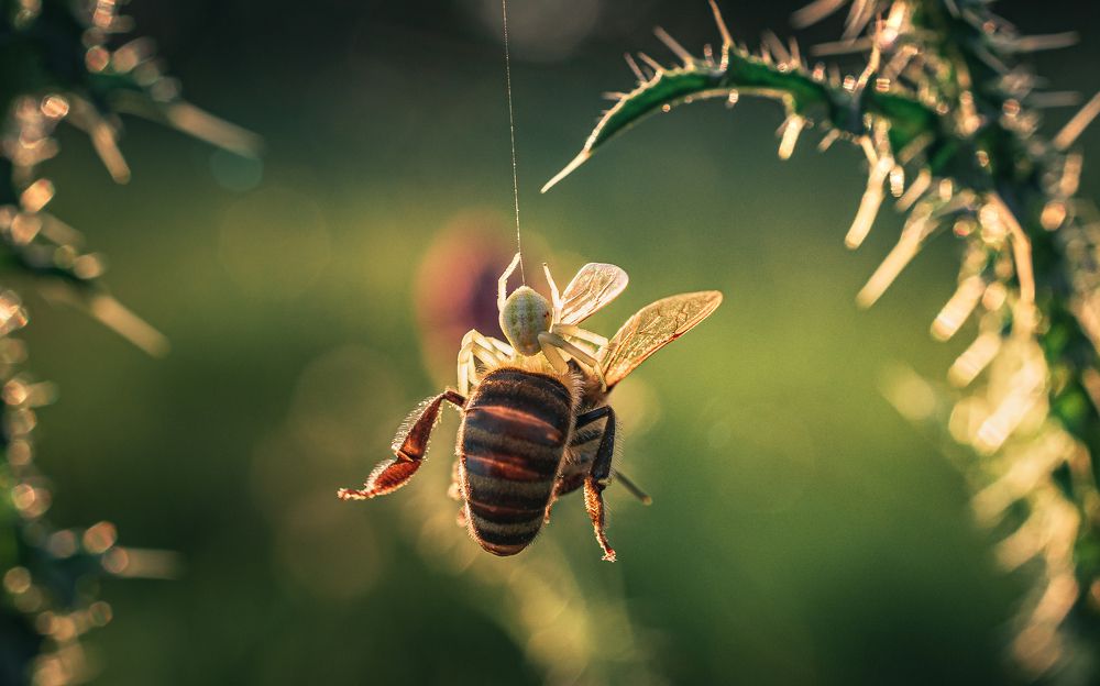 Photograph by Александр