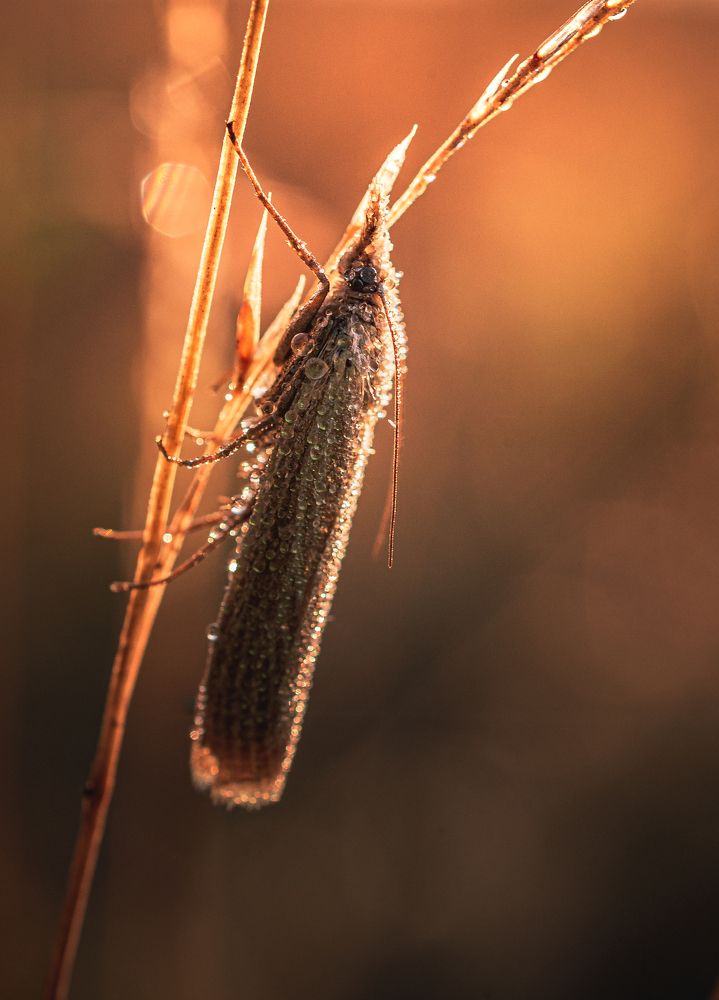 Photograph by Александр