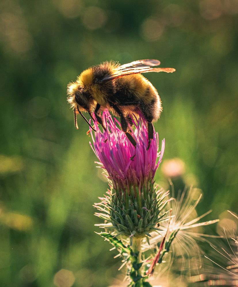 Photograph by Александр