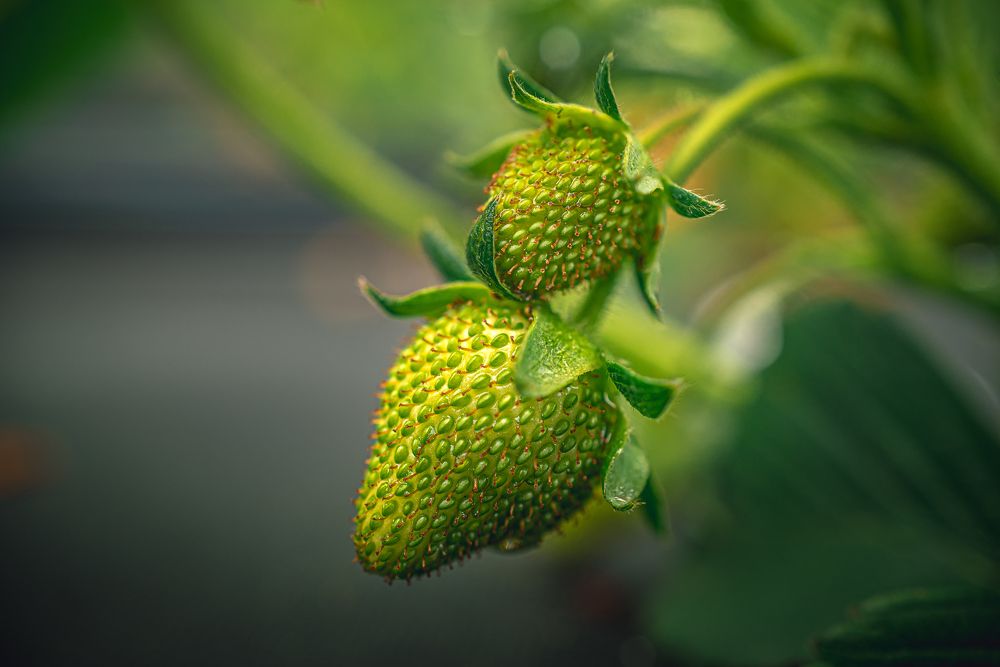 Photograph by Александр