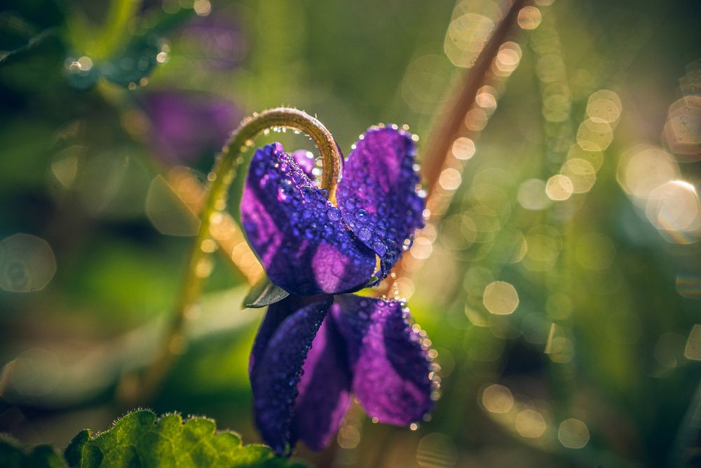 Photograph by Александр