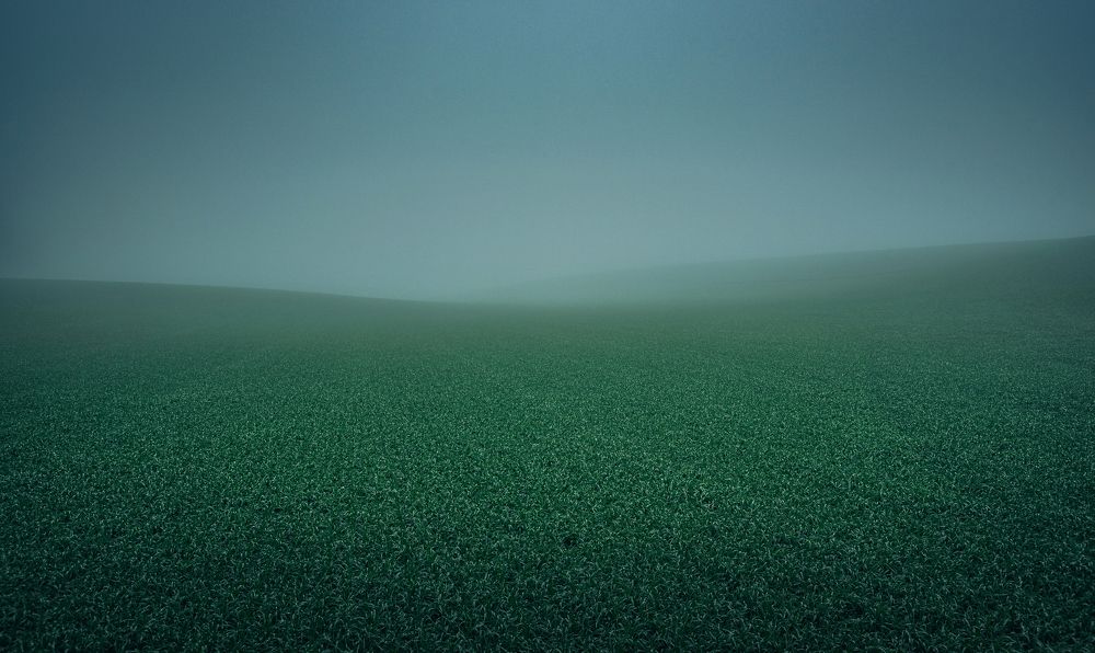 Photograph by Александр