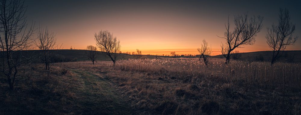 Photograph by Александр