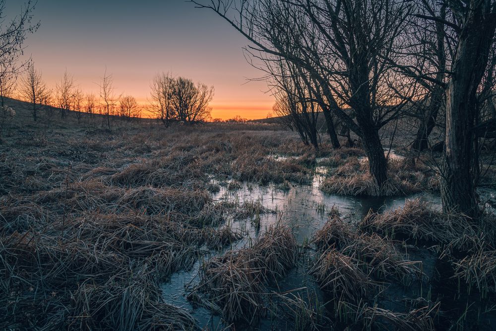 Photograph by Александр