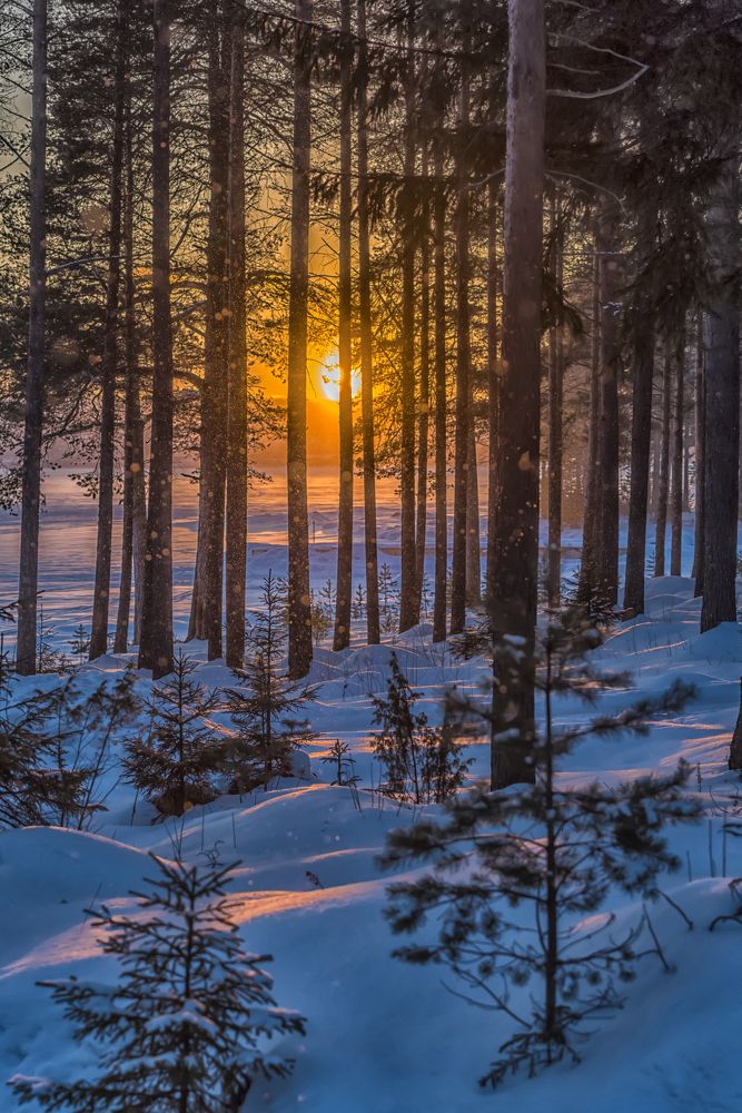 Photograph by Анна Кривицкая