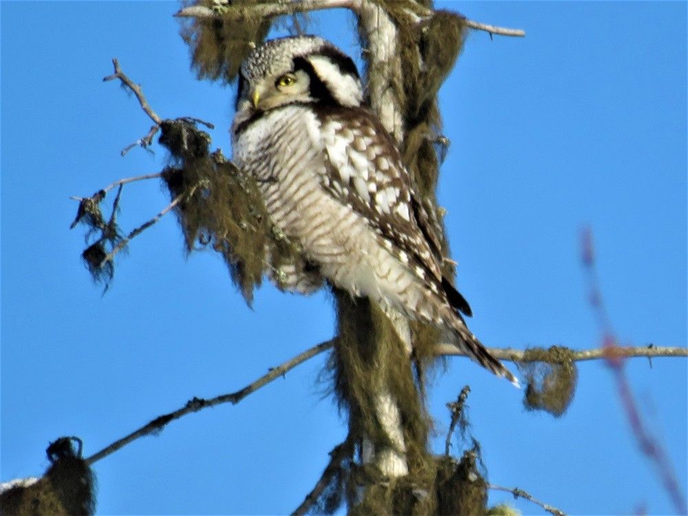 Photograph by Людмила Кононова