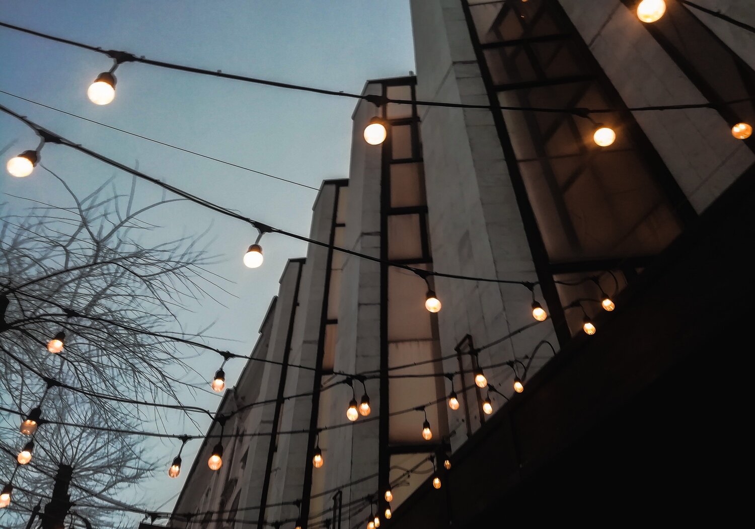 Photo #5944032