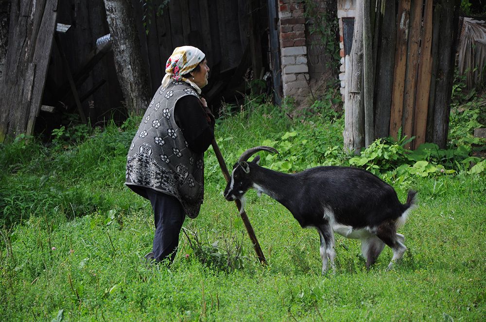 Photograph by Анатолий Смирнов
