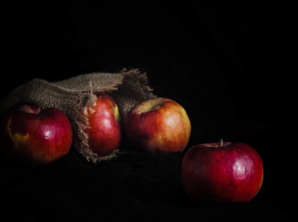 Photograph by Cornelia Ilie