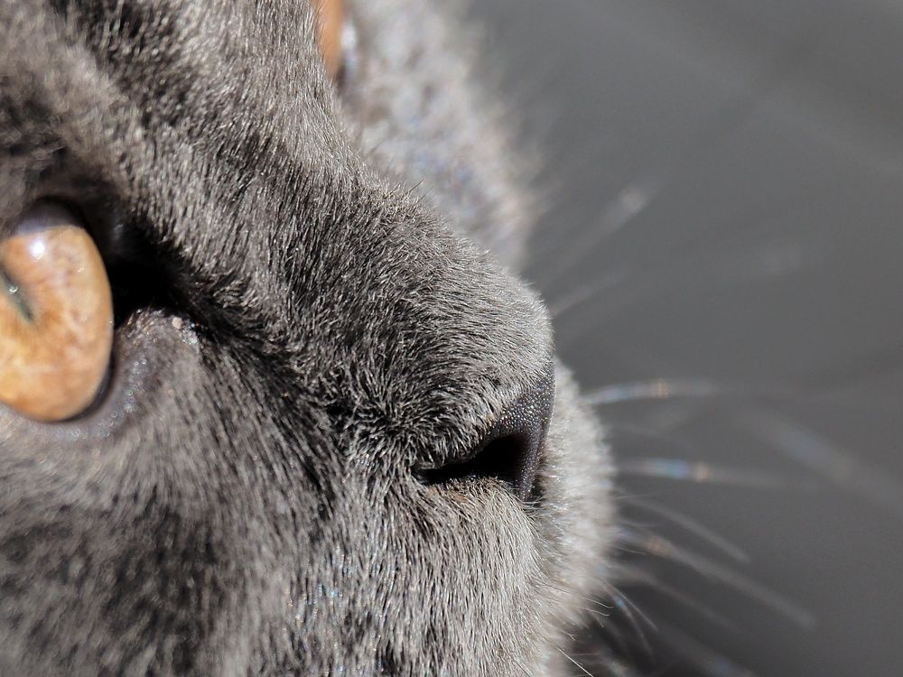 Photograph by Cornelia Ilie