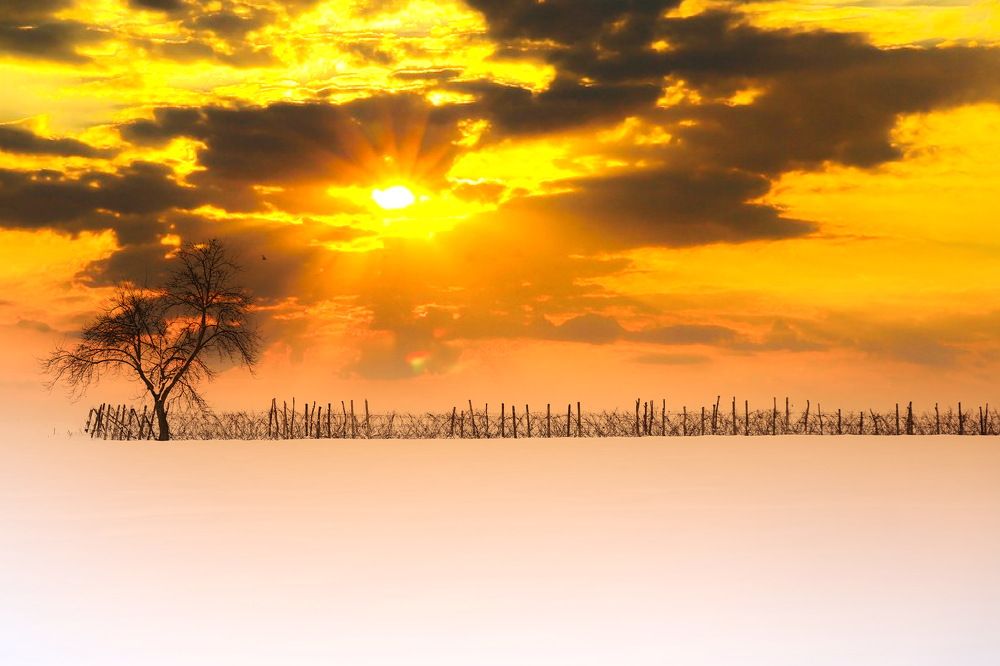 Photograph by Turcu Ovidiu Gabriel