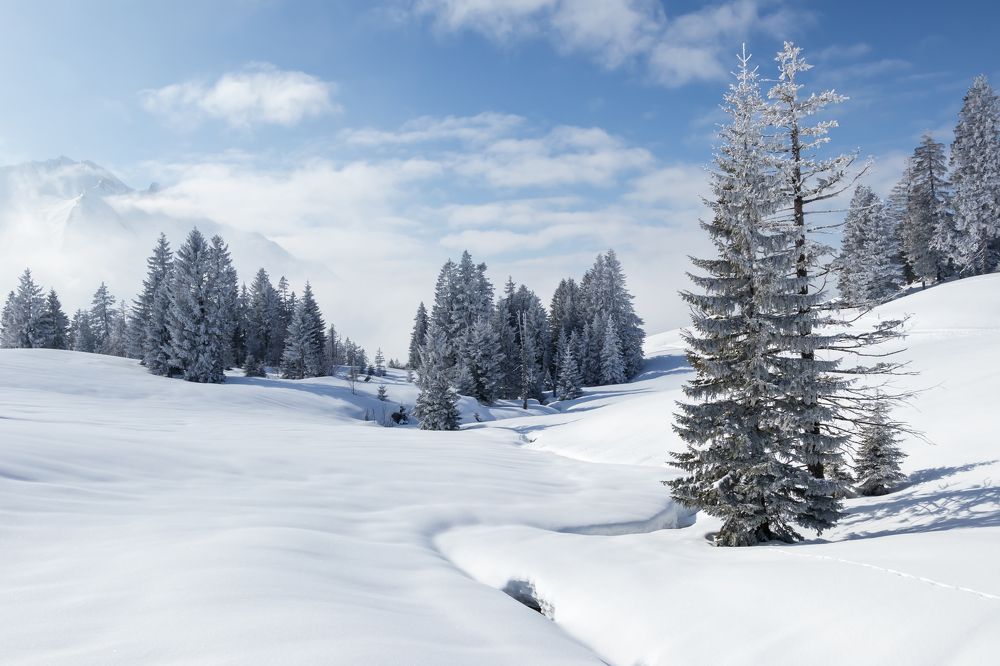 Photograph by Amandine Bonnet