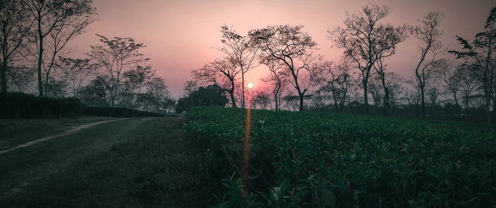 Photo #5944170