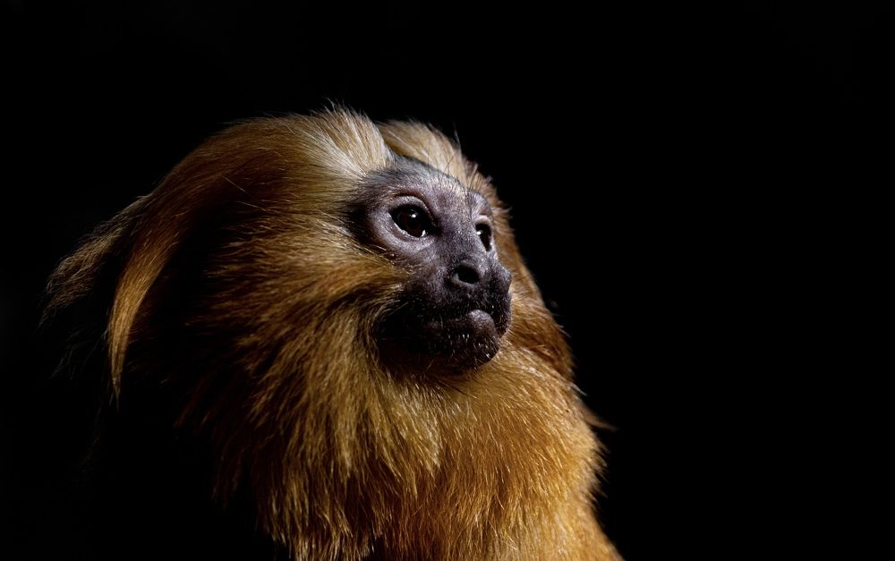 Photograph by Amandine Bonnet