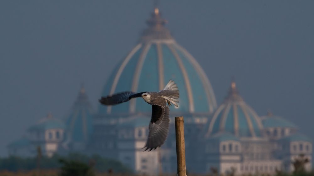 Bless of light comes from flame of eternity