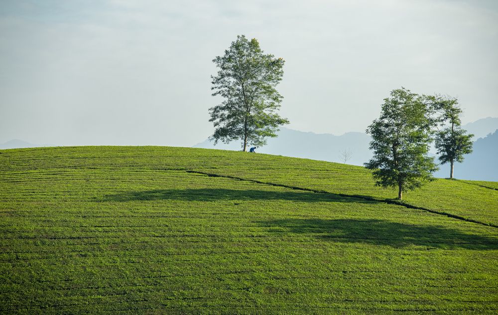 Photograph by Dương Nguyễn