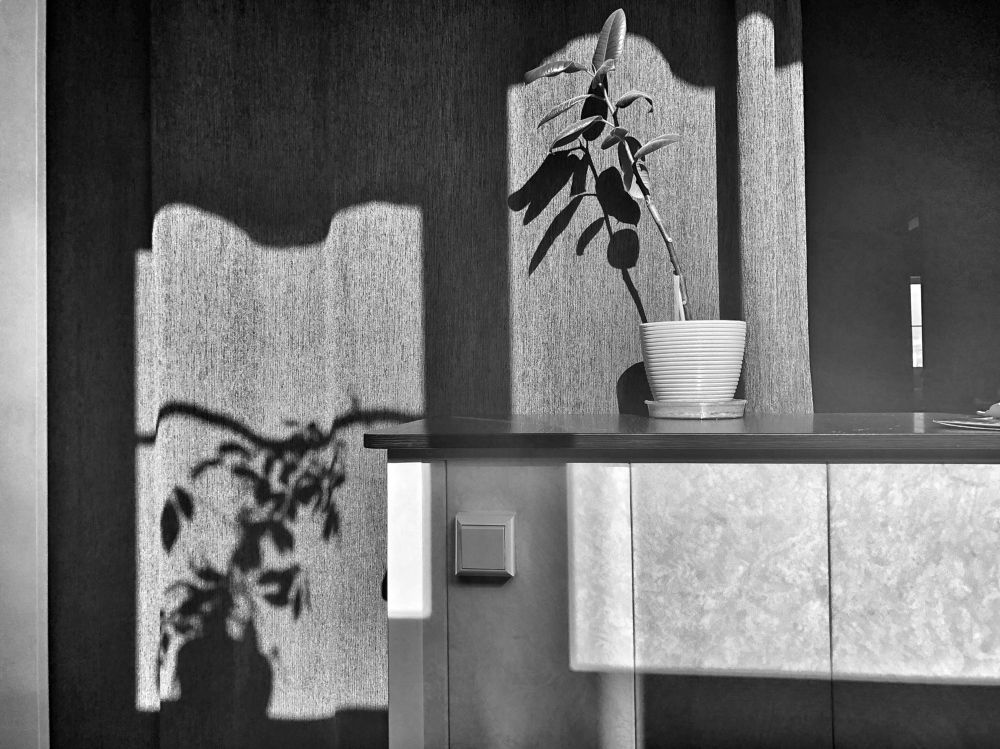 Photograph by Екатерина Шувалова