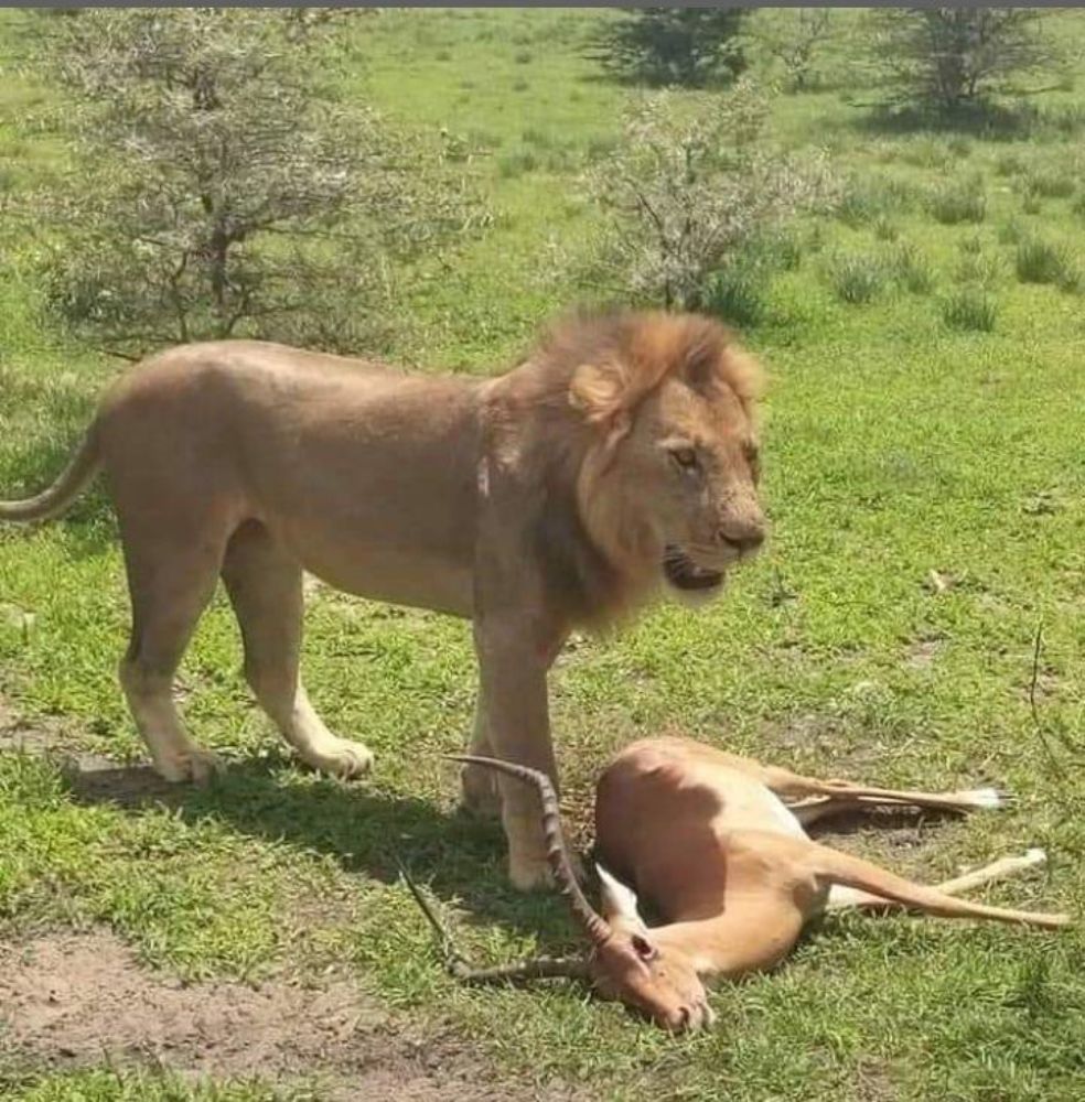 Photograph by Татьяна Мазепова