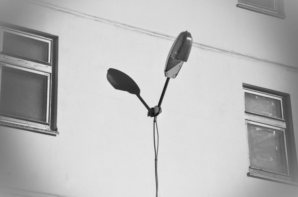 Фотография автора Алина Черняева