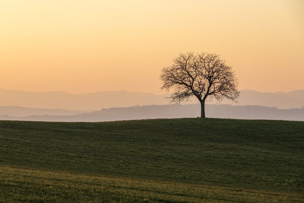 Photograph by Amandine Bonnet