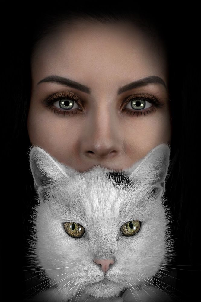 Photograph by Ovi D Pop