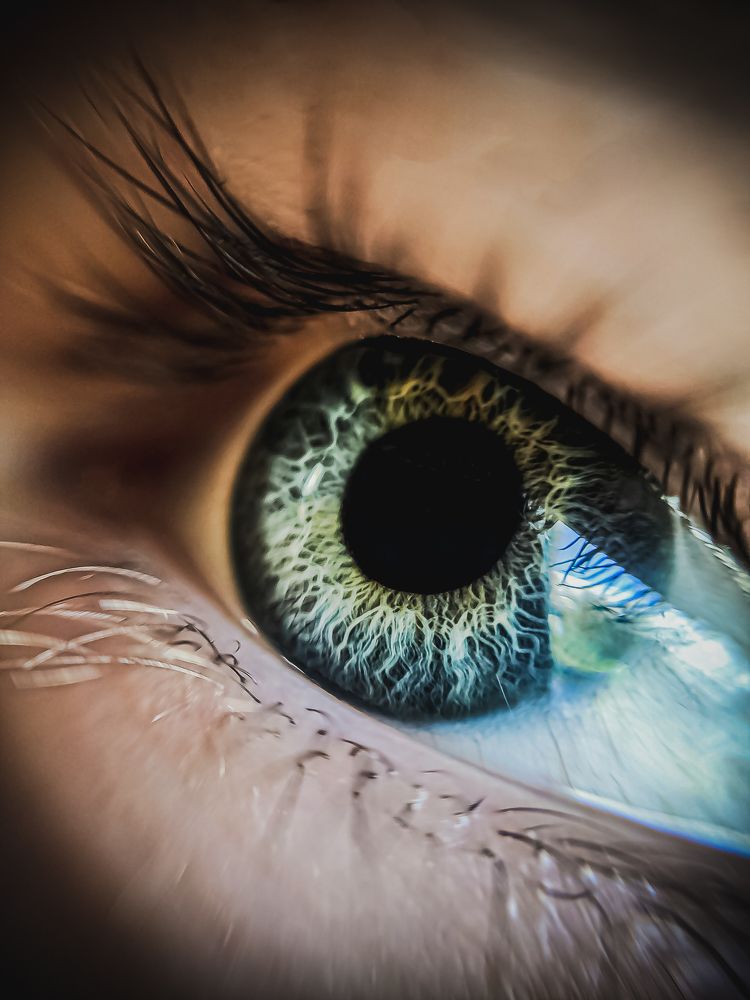 Фотография автора Алина Черняева