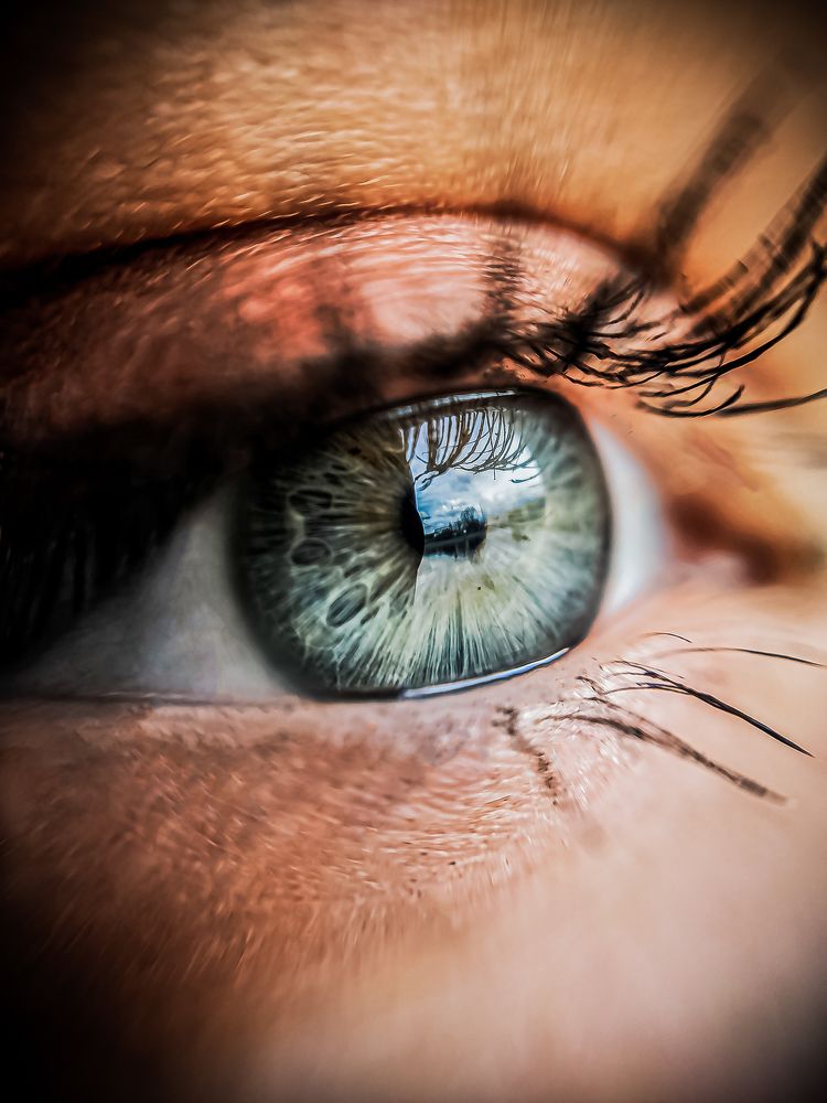 Фотография автора Алина Черняева