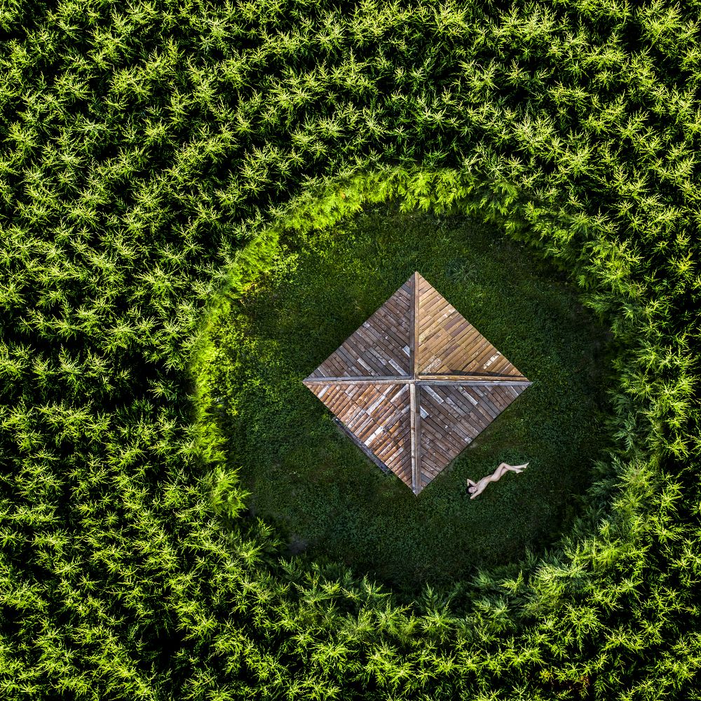 Photograph by Ovi D Pop