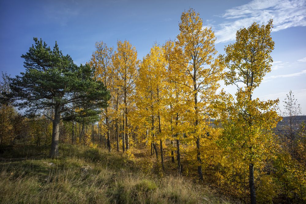Photograph by Денис Семихатов