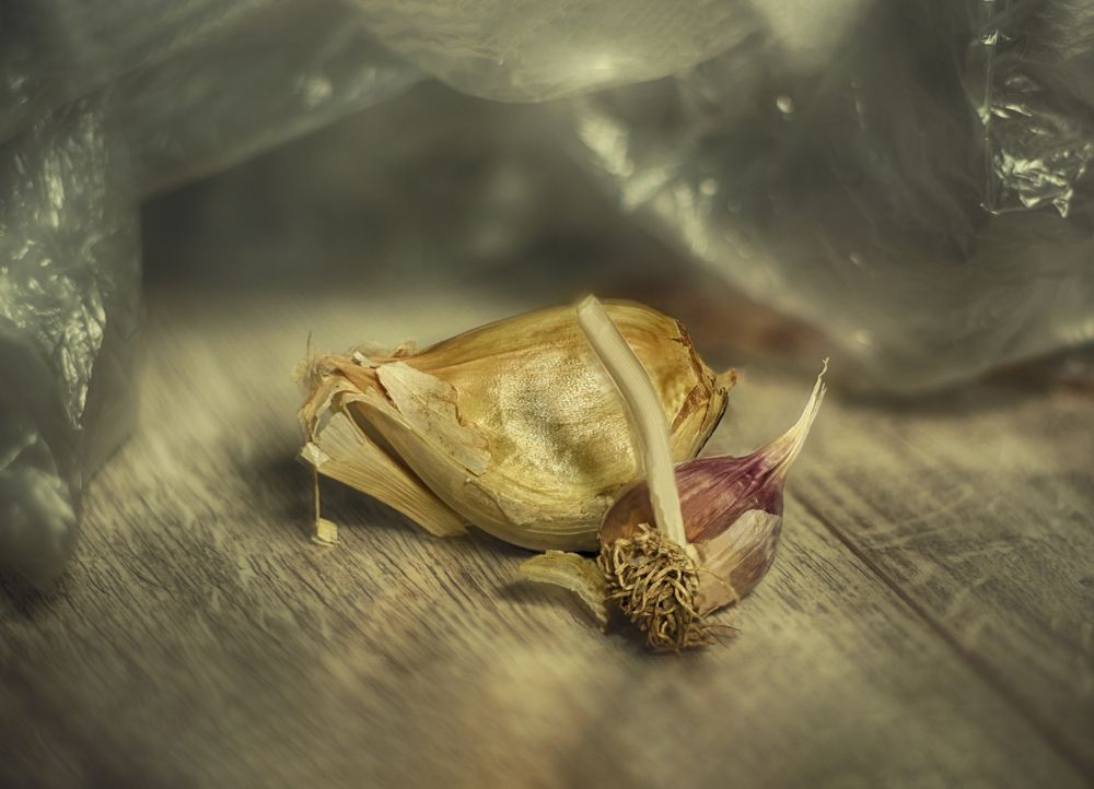 Photograph by Николай Марков