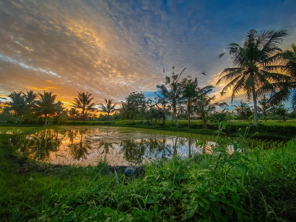 Photograph by I Gusti Nyoman Alit Purmani