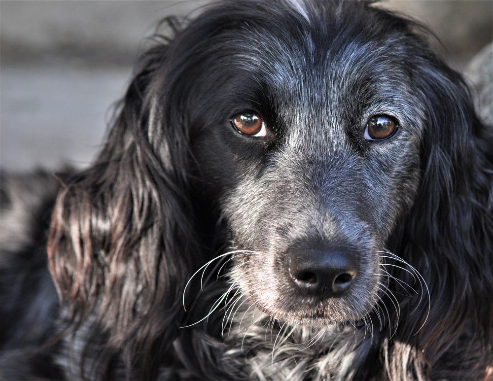 Photograph by Stoyan Baev